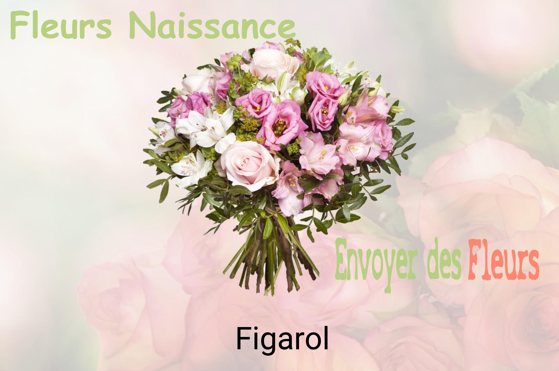 Bouquet de fleurs de naissance livré à Figarol