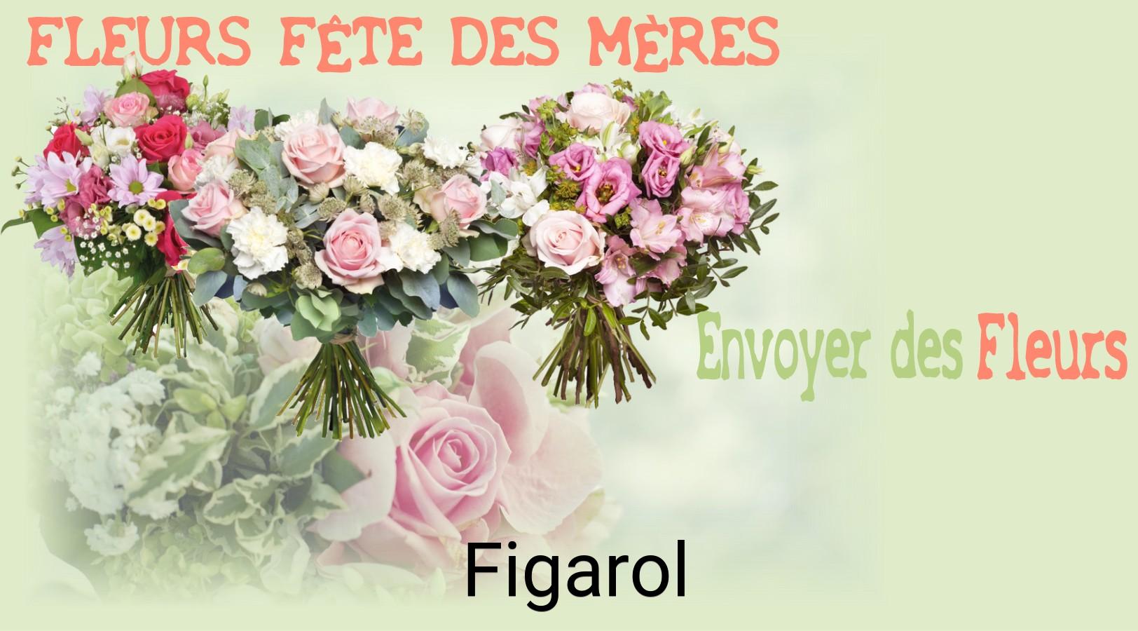 Bouquet de Fête des Mères livré à Figarol