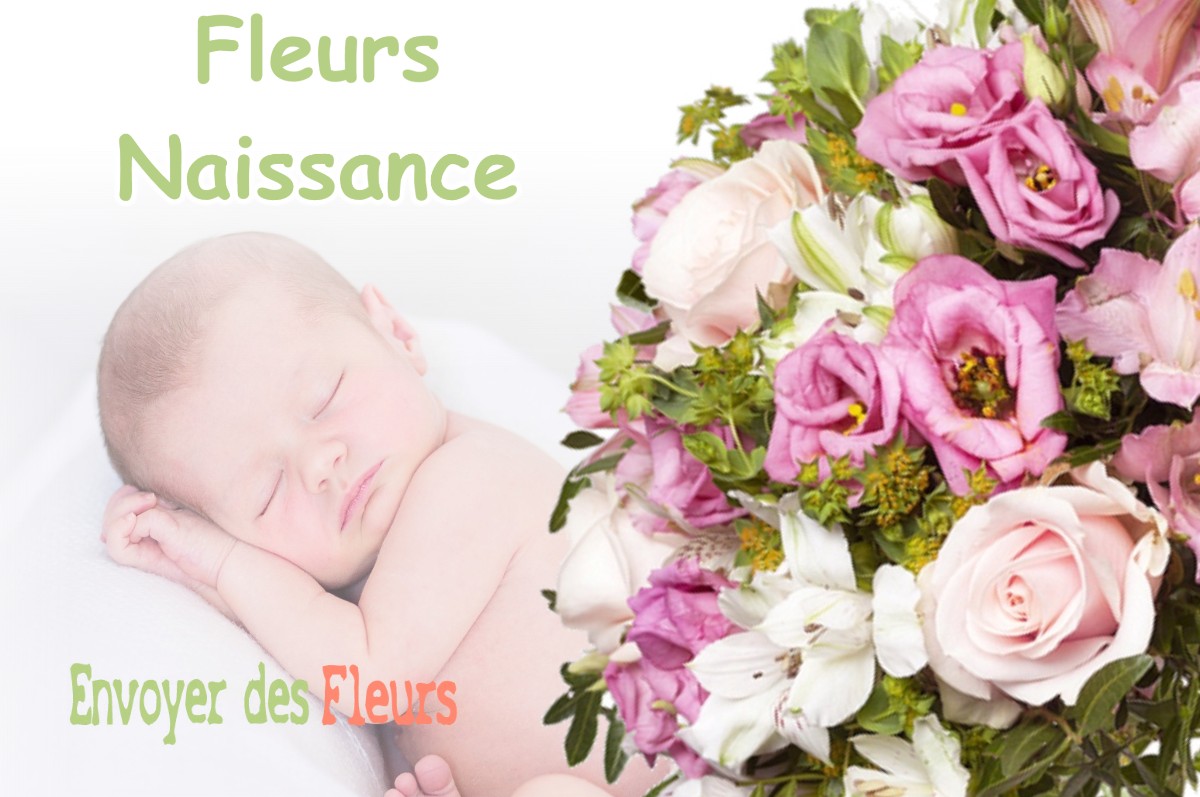 lIVRAISON FLEURS NAISSANCE à FIGAROL